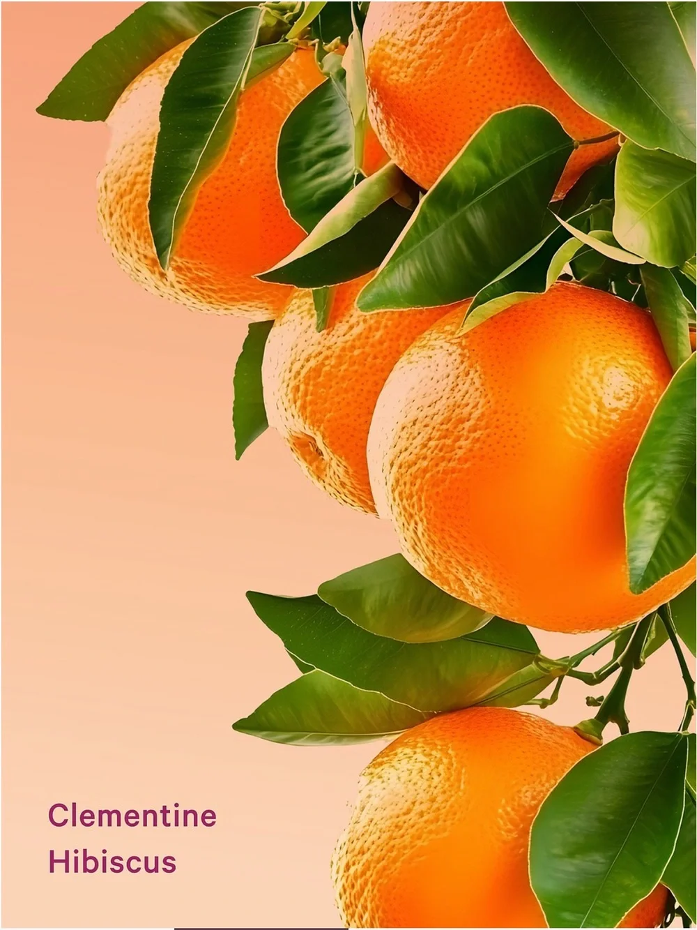 Clementine Hibiscus Hydrating Body Lotion 10oz